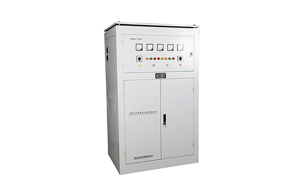 Estabilizador autom&aacute;tico de voltaje de las series DBW y SBW