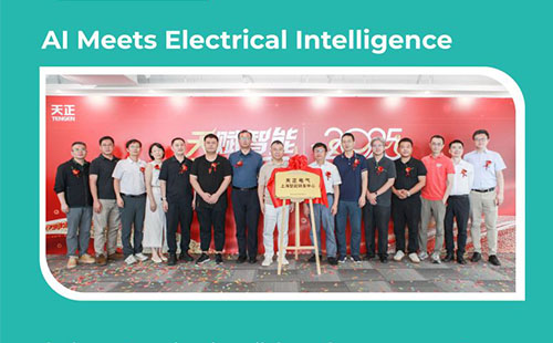 Tengen Electric presenta el Instituto de Investigaci&oacute;n de IA en Shangh&aacute;i y lanza el primer gran modelo de IA de la industria
